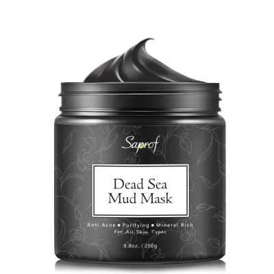 China 8.8 oz Pure Natural Dead Sea Nourishing Mud For Face Body Purifying Pore Reducer And Cleanser Facial Treatment For Sale for sale