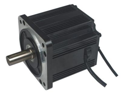 China 130mm 1200W 2000rpm 6.0N.m High Performance Totally Enclosed Brushless DC Motor for sale