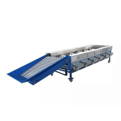 China 5-8 granada Kiwi Ellipse Fruit Sorting Machine de la t/h en venta