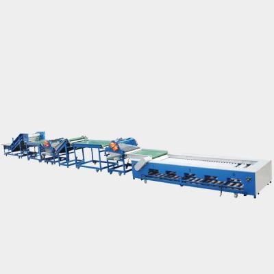 China Guava Pear Apple Orange Fruit Grading Machine for sale