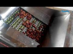 Fruit Pitting Machine