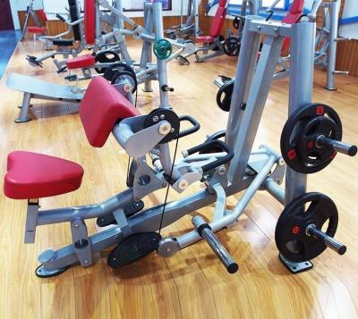 China Commercial Use Bodybuilding Strength Biceps Equipment Gym Machine Biceps Curl Camber Curl for sale