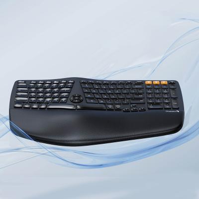 China ProtoArc Ergonormal Keyboards Slot PC Laptop 2.4G USB Main Panel BT Wireless Computer Keyboard for sale