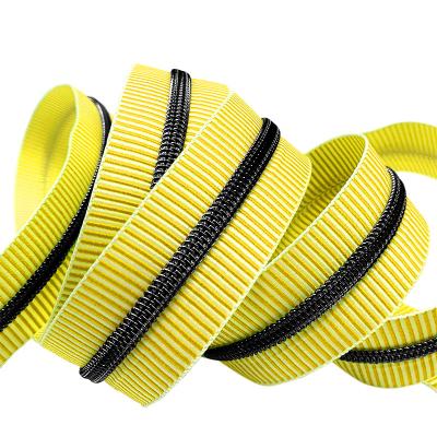 China #5 Viable Custom Decorative Colorful Nylon Tape Striped Zipper Tape Zipper Coil For Handbags for sale