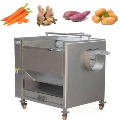 China High Efficiency Ginger Washing Peeling Machinery China Supplier 500kg/h Brush Cleaning Machine for sale