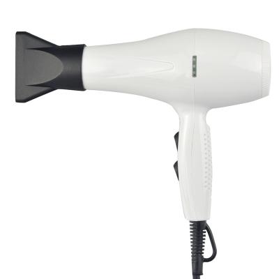 China Strong Wind Ionic Professional Salon Hair Dryer Fuselage Hair Blow Dryer LED Commercial Light Hair Dryer for sale