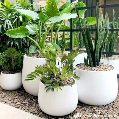 China High Quality Round Eco-Freindly Fiberglass Flower Pot Fiberclay Cement Pots And Planters For Indoor Outdoor for sale