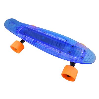 China Maple Factory Customized Skateboard Adult Electric Board Motorized Electric Skateboard With Led Light for sale