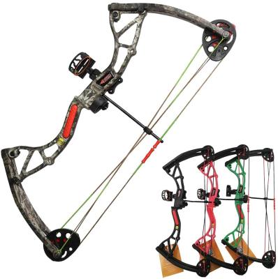 China Linkboy 4 Color SHOOTING Kids Shooting Bow Youth Compound Archery 5-15 Years Old Archery Practice for sale