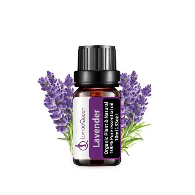 China Opens Aromatherapy 100% Pure Pure Organic Lavender Airway Factory Refined Wholesale 10ML Essential Oils Oil for sale