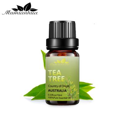 China 100% Bulk Exporter Essential Oil PurOorganic Aacne Remover Tea Tree Essential Oil From Aromatherapy Guangzhou Factory Best Best for sale