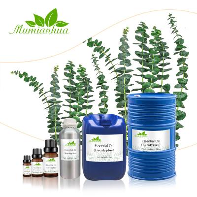 China Skin Revitalizer Factory Extraction 100% Pure Organic Essential Oil Bulk Eucalyptus Essence Oil 1kg Suppliers Best Suppliers for sale