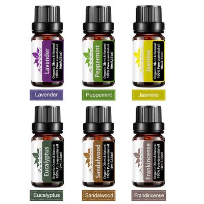 China Relieve Stress Factory Specializing Pure Essential Oil Fragrance Oil Non-Toxic Aroma Durable Durable 6 Pieces 10ml/Frozen Peppermint Suit for sale