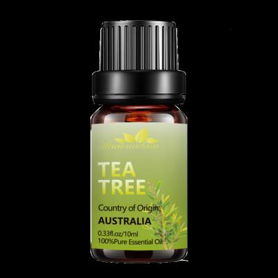 China Factory sale best antiseptic hot professional natural tea tree essential oil with cheap price tea tree essential oil for sale