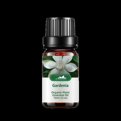 China Can get rid of pure gardenia essential oil private label gardenia essential oil insomnia factory supply 100% for sale