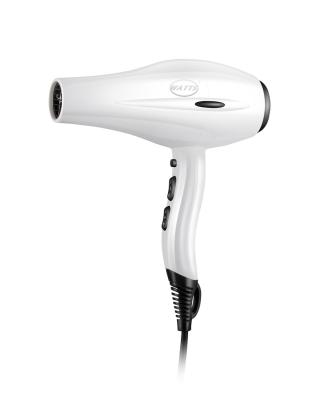 China Ionic Professional Promotion AC Motor Plastic Hair Dryer for Salon Use or Household Use High Air Speed ​​for Quick Drying for sale