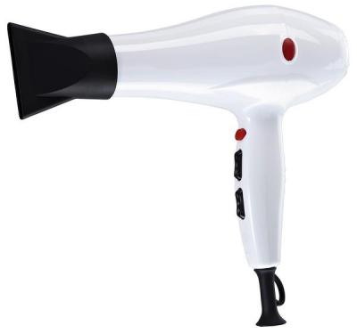 China Plastic Material Ionic Wholesale Large Size Professional Hair Dryer With 2 Nozzles Concentrator Diffuser for sale