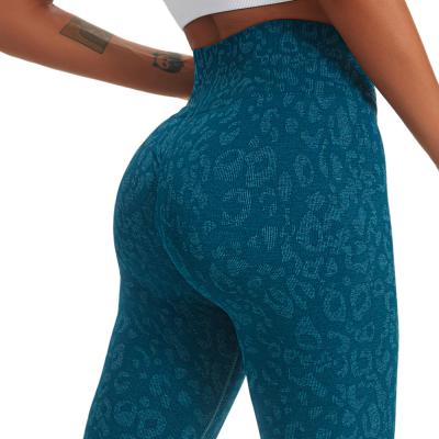 China Wholesale Breathable DK8488 Womens Workout Shorts Animal Leopard Yoga RTS Print Butt Bike Shorts 2022 Crac! crack! for sale