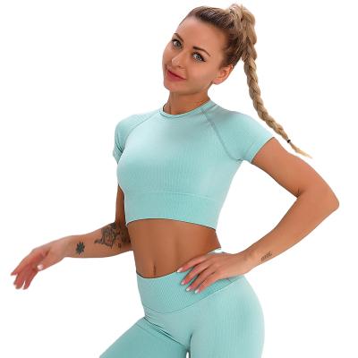 China Active Fitness Wear 9298 Breathable 2 Pieces Rib Design Seamless Sleeve Sweat Shorts Women Gym Short Equipment And Crop Top Workout Set for sale