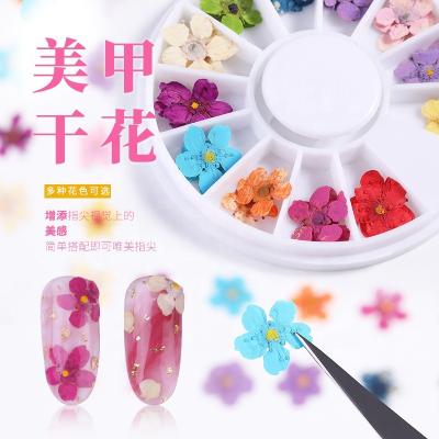 China Nail Beauty Products 12 Grids Flower Natural Dry Nail Art Dried Flowers For Nails Decoration Box Packing for sale