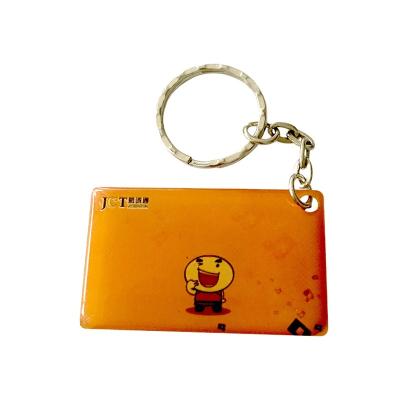 China Waterproof / Waterproof Custom Plastic NFC Key Chain Cards RFID Key Card withspecial logo printing for sale