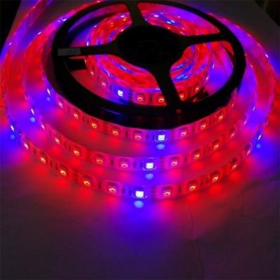 China Seed Starting Lamp Body Material PC Led Grow Light Strip with 5050 Dc 12v/24v for sale