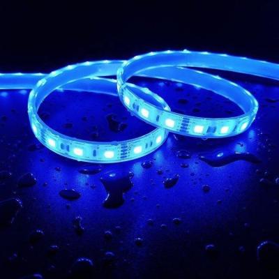 China 100m Custom Length LED Strip Lights 12v Multi-Color RGB Rood Groen Blauw -45 50C 0.69kg Te koop