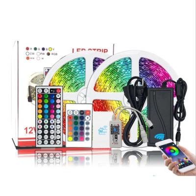 China 12v Dual Row Park 2*16.4feet(5meter) LANDSCAPE New Waterproof RGB Led Strip Light Kit With Power Supply And Wifi Controller for sale