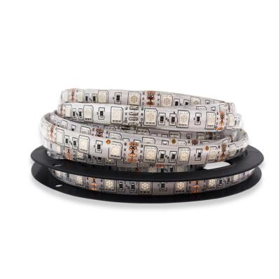 China New LANDSCAPE Style Music Controlling Non-waterproof RGB Double Array 2*16.4feet(5meter) Led Strip Light Kit for sale