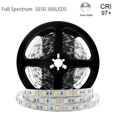 China Garden New 12v DC 16.4feet (5meter) Dayligh White Full Spectrum Grow Light Full Spectrum Led Strip Light for sale