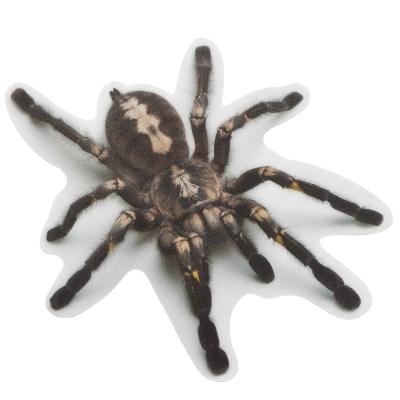 China Big Decorative Sticker Size Black Spider Car Decoration For Door Decor Scorpion Spider 3 D Car Bumper Sticker for sale