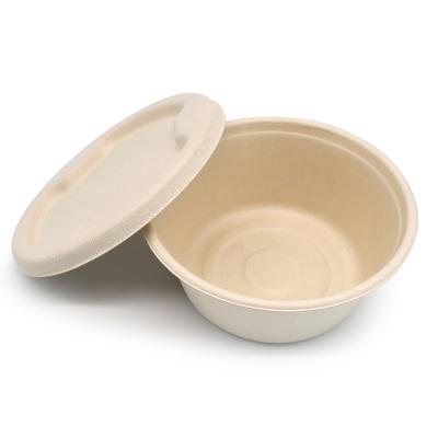 China 100% Eco Leakproof Biodegradable Biodegradable Sugarcane Bagasse Pulp Noodle Bowl Noodle Bowl Within 90 Days 100% Eco for sale