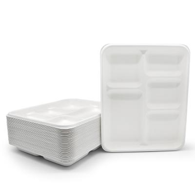 China 100% Compost Sugar Cane Bagasse Pulp 5 Compartment Biodegradable Biodegradable Tray Within 90 Days For School Food Lunch for sale