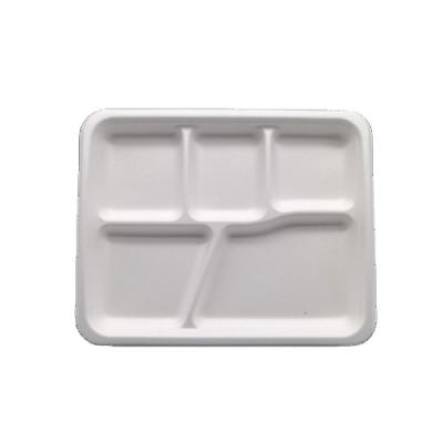 China Bento Trays Disposable Sugar Cane Biodegradable Sugar Cane Bagasse Lunch Tray 5 Compartments 100% Compost By 90 Days Meal Sushi Microwavable for sale