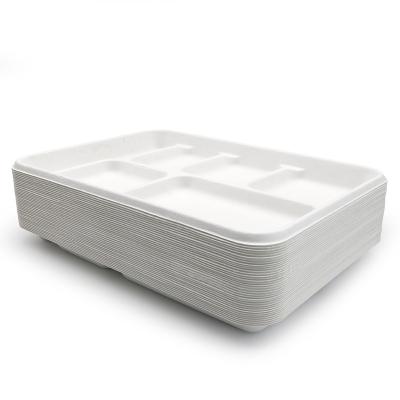 China 100% Compost Lunch Tray Within 90 Days Sushi Tray Fast Food Container Biodegradable Packing 6 Compartments for sale