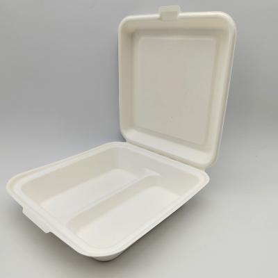 China Recyclable Custom Design 850ml Sugarcane Bagasse Food Lunch Box For Restaurants for sale