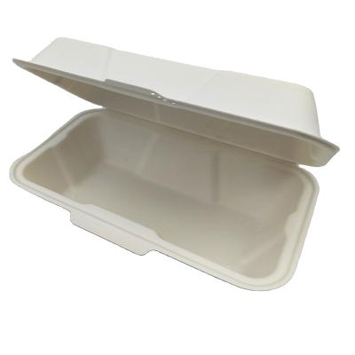 China 560ml Biodegradable Recyclable Disposable Lunch Box Bento Lunch Box Disposable Hamburger Box for sale