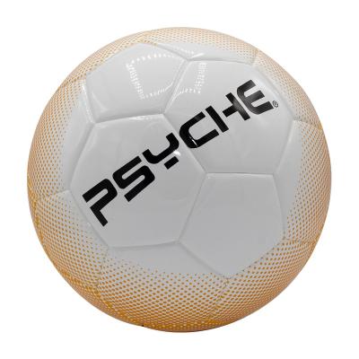 China China Factory Promotion Durable High Quality PVC Soccer Ball Junior Training Football Size 5 for sale