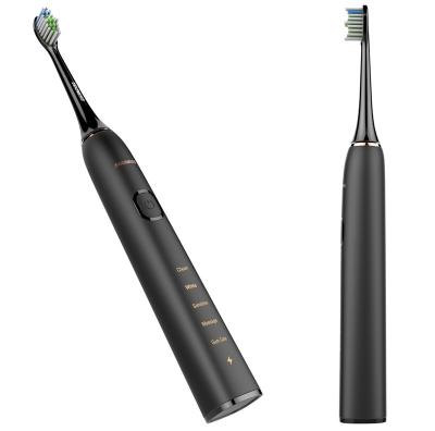 China Ningbo Commercial Sunshex Sonic Pro Rechargeable Electric Toothbrush for sale