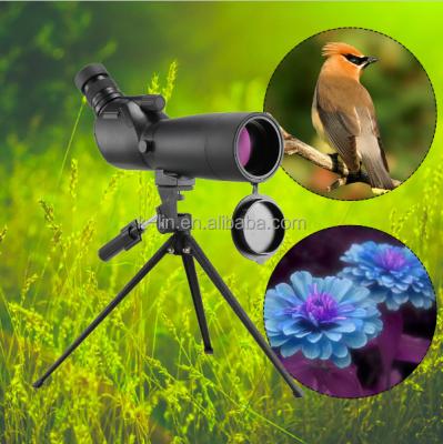 China Visionking 20-60x60 Scope Bak4 Waterproof Spot Zoom Spotting Spot for Bird Watching Hunting Monocular W/Tripod 20-60x60 Telescope for sale