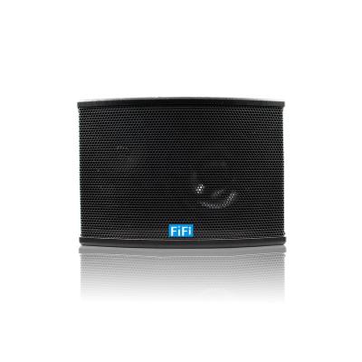 China FIFI Professional Karaoke Sound System 50W Indoor Large Size Karaoke Speaker For Home for sale