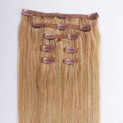 China Elegant Full Wave Silky Straight Wholesale Indian Remy Human Hair Lace Head Clip In Hair Extension for sale