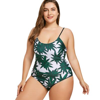 China Breathable Leaf Print Fashion Swimsuit Plus Size One Piece Swimsuit for sale