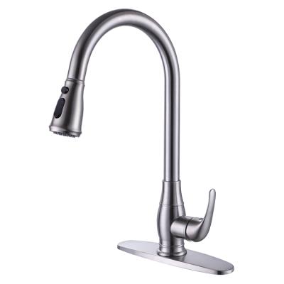 China Modern Free Shipping USA 304 Stainless Steel Single Handle Kitchen Mixer Taps Single Rotation Flexible Kitchen Faucet for sale