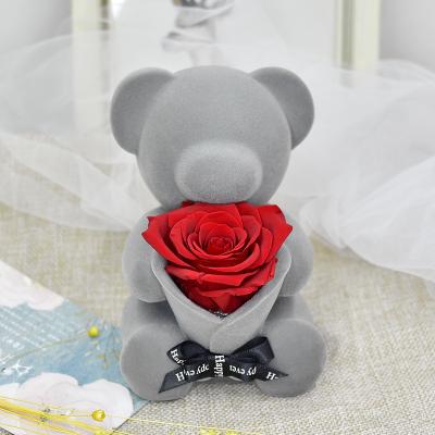 China Fashional Valentine's Day Gift Flock Holding Bear Preserved Flower Sitting Rose Bear Gift Box Lovers Eternal Flower Music for sale