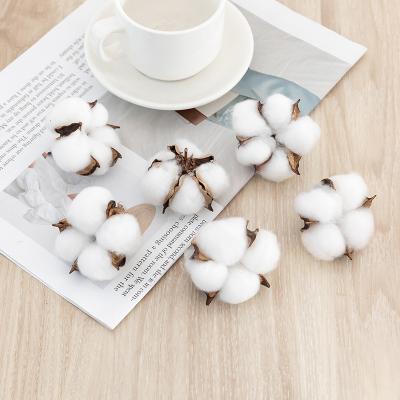 China Fashional Christmas Artificial Flower Factory Diy Flower Simulation Kapok Simulation Natural Dry Cotton Wholesale Handmade Wreath Decorations for sale