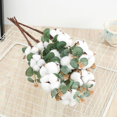 China Fashional Artificial Flowers Wholesale Natural Dry Flower Eucalyptus 4 Heads Of Cotton Home Decoration Cotton Bouquet for sale