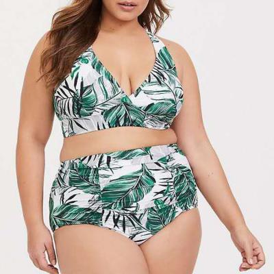 China 2020 breathable ladies plus size women's wholesale swimwear swimwear the print two-piece bikini top for sale