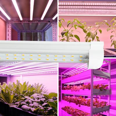 China Starting from seed Fanless no noise culture wholesale samgsung 15w 25W indoor plants full spectrum t8 led grow light tube t5 led grow light bar for sale