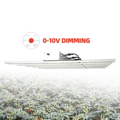 China Seed Starting New Product Indoor Led Grow Light Commercial 1000W Grow Lights LED 1000w Grow Light 2022 for sale